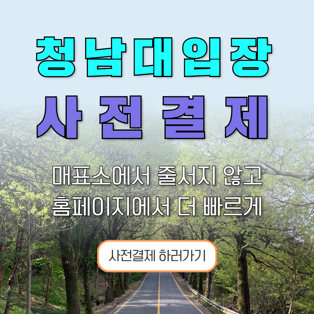 당일입장